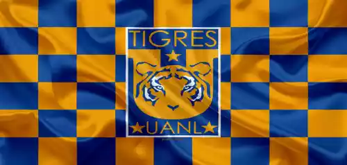 vectores plantilas FUTBOL,